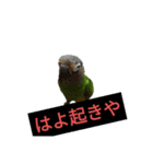我が子へメッセージ（個別スタンプ：14）