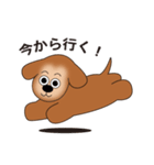 茶色くてかわいい犬（個別スタンプ：13）