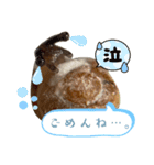 苔氏家のゆかいな仲間たち(ナメツムver.)（個別スタンプ：6）