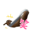苔氏家のゆかいな仲間たち(ナメツムver.)（個別スタンプ：12）