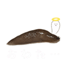 苔氏家のゆかいな仲間たち(ナメツムver.)（個別スタンプ：16）