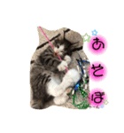 スタンプの、のぶ（個別スタンプ：4）