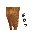 茶トラねこの日常② browntabbycat（個別スタンプ：32）
