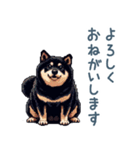 毎日使える黒柴犬【かわいい・日常会話】（個別スタンプ：5）