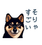 毎日使える黒柴犬【かわいい・日常会話】（個別スタンプ：9）