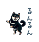 毎日使える黒柴犬【かわいい・日常会話】（個別スタンプ：13）