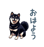 毎日使える黒柴犬【かわいい・日常会話】（個別スタンプ：14）