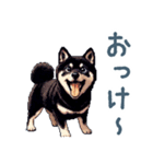 毎日使える黒柴犬【かわいい・日常会話】（個別スタンプ：15）