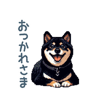 毎日使える黒柴犬【かわいい・日常会話】（個別スタンプ：17）