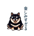 毎日使える黒柴犬【かわいい・日常会話】（個別スタンプ：18）