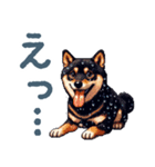 毎日使える黒柴犬【かわいい・日常会話】（個別スタンプ：21）