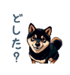 毎日使える黒柴犬【かわいい・日常会話】（個別スタンプ：24）