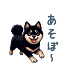 毎日使える黒柴犬【かわいい・日常会話】（個別スタンプ：29）