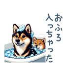 毎日使える黒柴犬【かわいい・日常会話】（個別スタンプ：30）