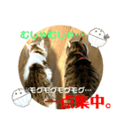 2人はいつも（個別スタンプ：2）