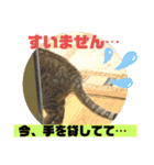 2人はいつも（個別スタンプ：3）