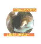 2人はいつも（個別スタンプ：4）
