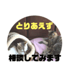 2人はいつも（個別スタンプ：6）