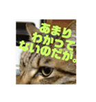 2人はいつも（個別スタンプ：7）