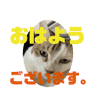 2人はいつも（個別スタンプ：9）