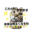 2人はいつも（個別スタンプ：10）