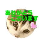 2人はいつも（個別スタンプ：12）
