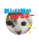 2人はいつも（個別スタンプ：13）