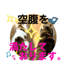 2人はいつも（個別スタンプ：15）