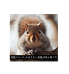 煽るリスと汎用性があるリスのスタンプ（個別スタンプ：8）