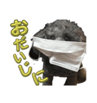 あくあ君のでっかい日常（個別スタンプ：2）