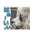 あくあ君のでっかい日常（個別スタンプ：5）