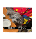 あくあ君のでっかい日常（個別スタンプ：6）