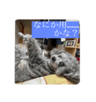 あくあ君のでっかい日常（個別スタンプ：7）
