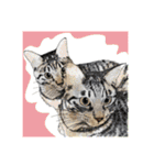 ねこ リアルイラスト VOL.07（個別スタンプ：9）