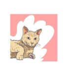 ねこ リアルイラスト VOL.07（個別スタンプ：28）