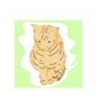 ねこ リアルイラスト VOL.07（個別スタンプ：40）