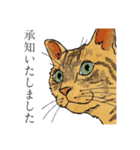 丁寧語ねこ リアルイラスト VOL.02（個別スタンプ：24）