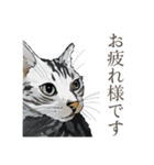 丁寧語ねこ リアルイラスト VOL.02（個別スタンプ：39）