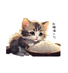 ゆるかわ仔猫で日常会話（個別スタンプ：24）