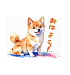 かわいい水彩画柴犬（個別スタンプ：1）