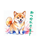 かわいい水彩画柴犬（個別スタンプ：12）