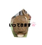 茶うさ＊スタンプ（個別スタンプ：16）