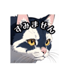 可愛い猫の日常の挨拶（個別スタンプ：10）