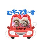 モカハナちゃんスタンプ❶（個別スタンプ：8）