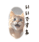 敬語でご挨拶 ねこ編(BIG)（個別スタンプ：3）