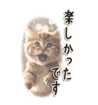 敬語でご挨拶 ねこ編(BIG)（個別スタンプ：20）