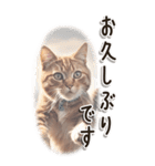 敬語でご挨拶 ねこ編(BIG)（個別スタンプ：23）