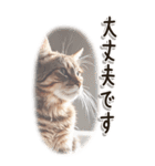 敬語でご挨拶 ねこ編(BIG)（個別スタンプ：24）