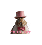 ピンクのシルクハットをかぶったウサギ1（個別スタンプ：21）