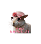 ピンクのシルクハットをかぶったウサギ1（個別スタンプ：25）